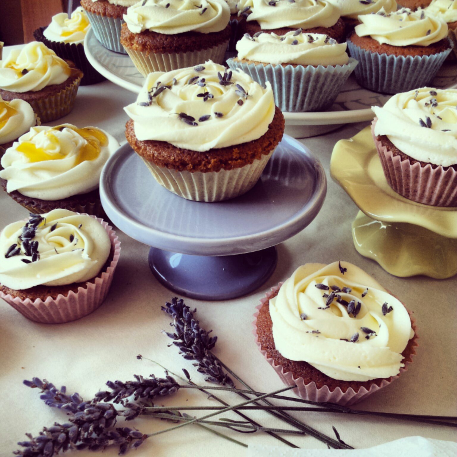 Lavender and Honey Cupcakes