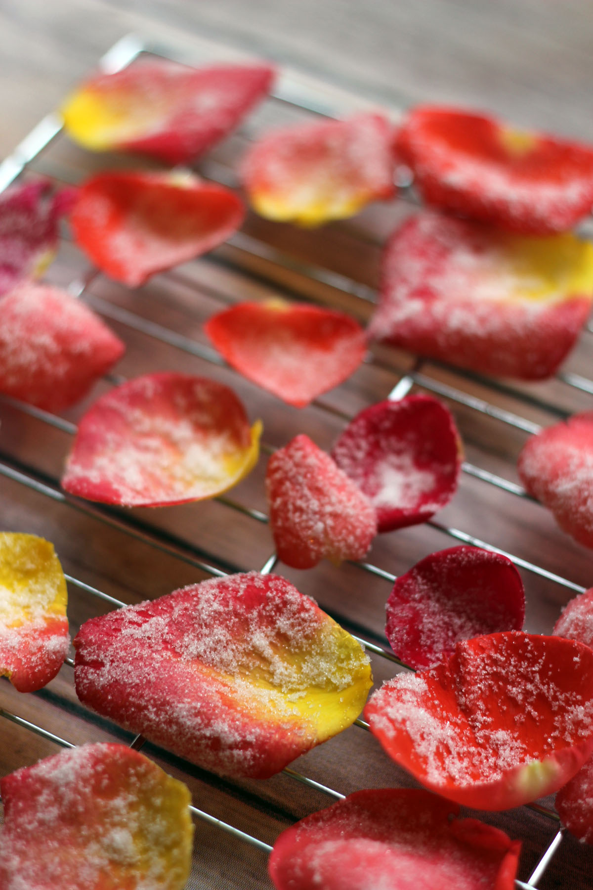 How to make candied rose petals, perfect for topping desserts and cakes