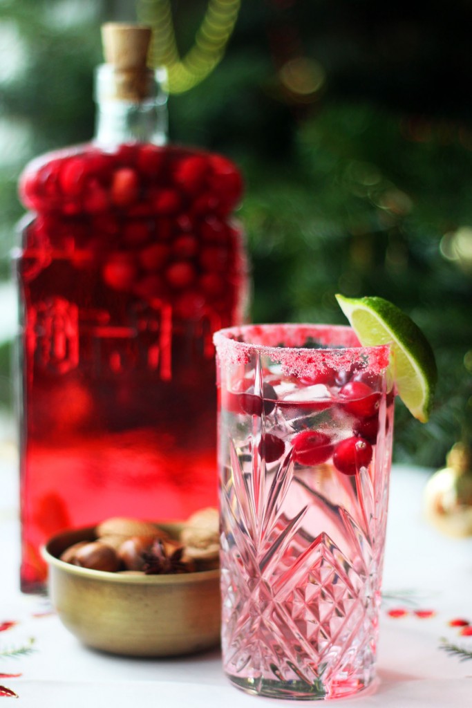 Cranberry Infused Gin is used to make this Festive Cranberry Gin and Tonic from Supper in the Suburbs