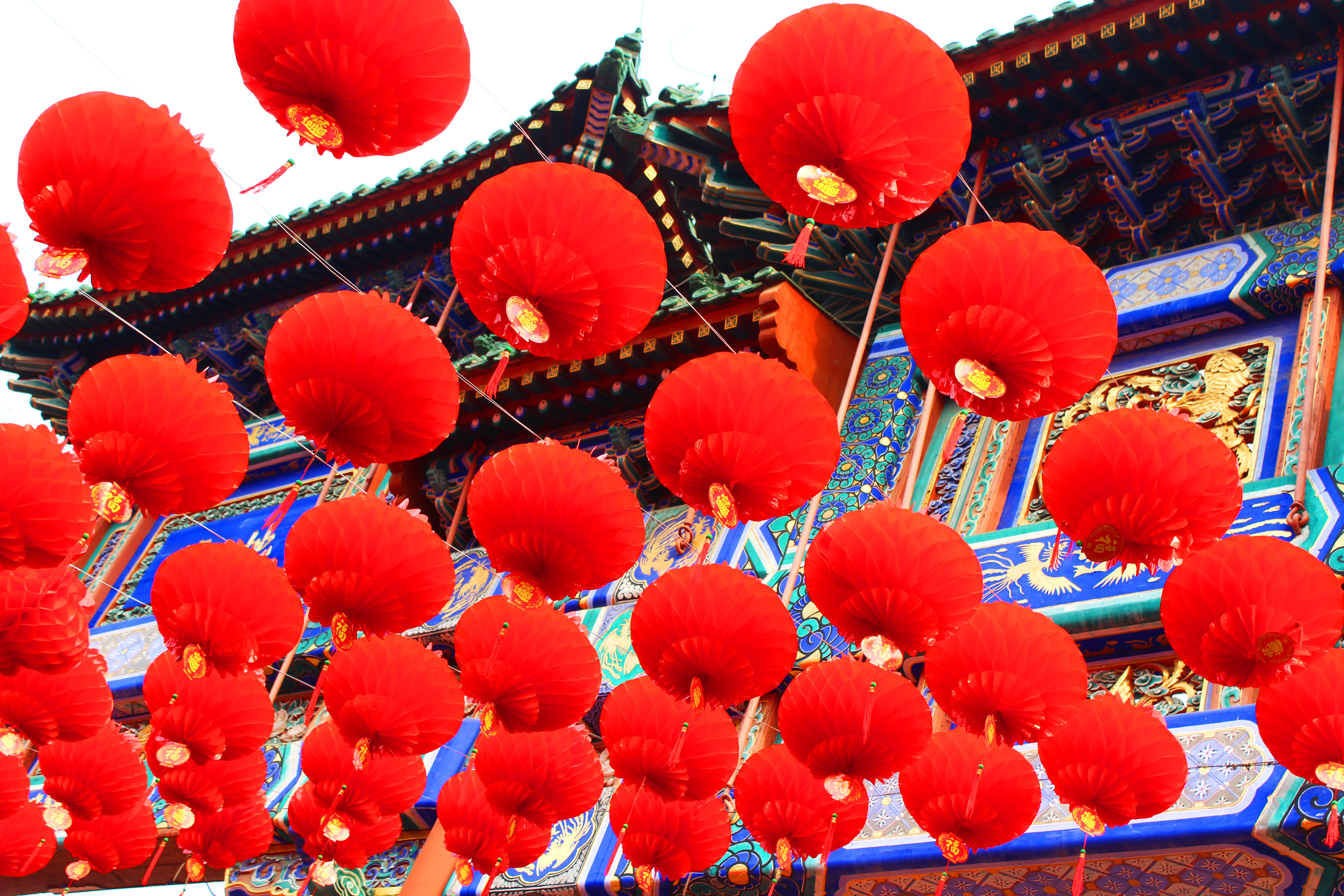 Red lanterns are hung everywhere during Chinese New Year celebrations.