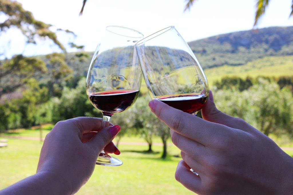 Take a ferry over to Waiheke Island for a day of New Zealand wine and delicious food