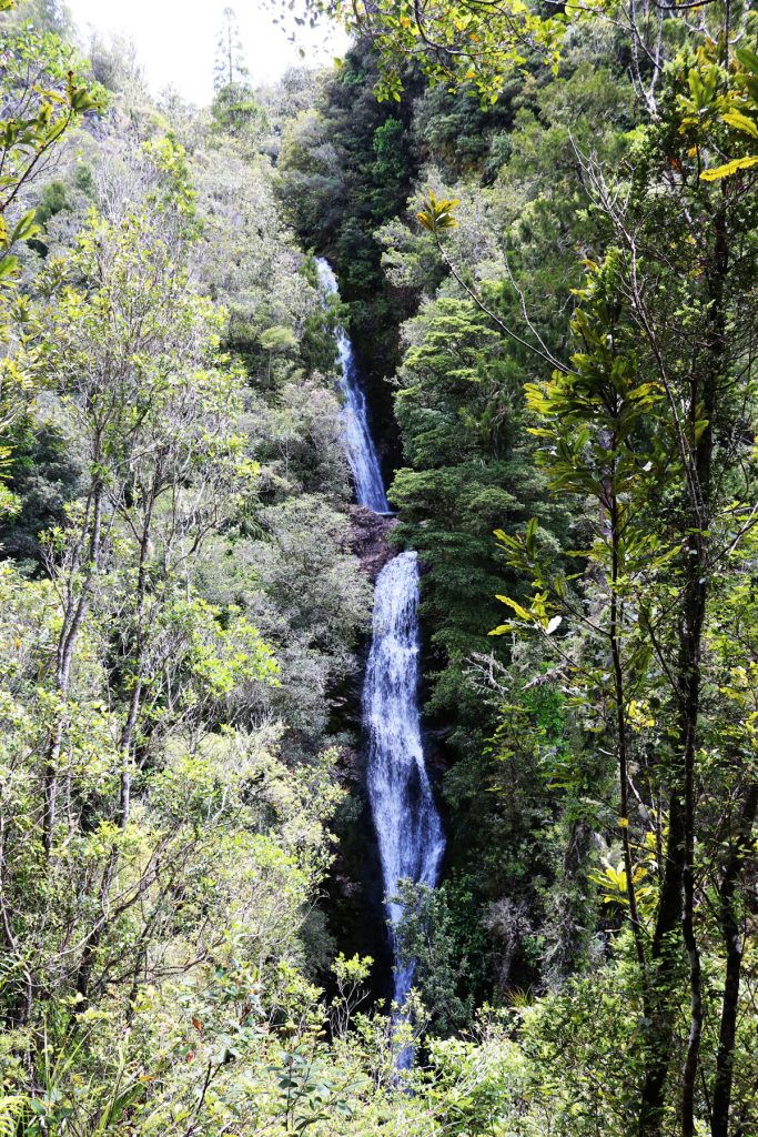 Hiking up Wentworth Falls is a great way to break up your road trip. There is so much to be seen while doing a self-drive tour of New Zealand.