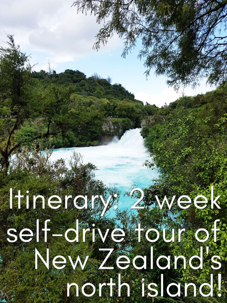 Itinerary for a 2 week self drive tour of New Zealand's north island, starting in Auckland and ending in Wellington