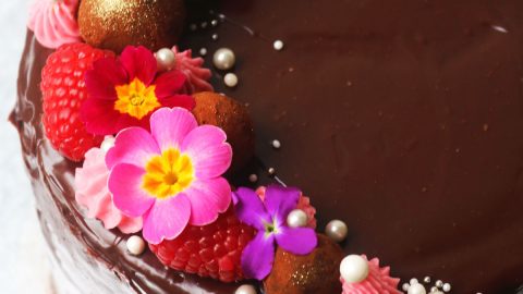 Chocolate Raspberry Cake - Supper in the Suburbs