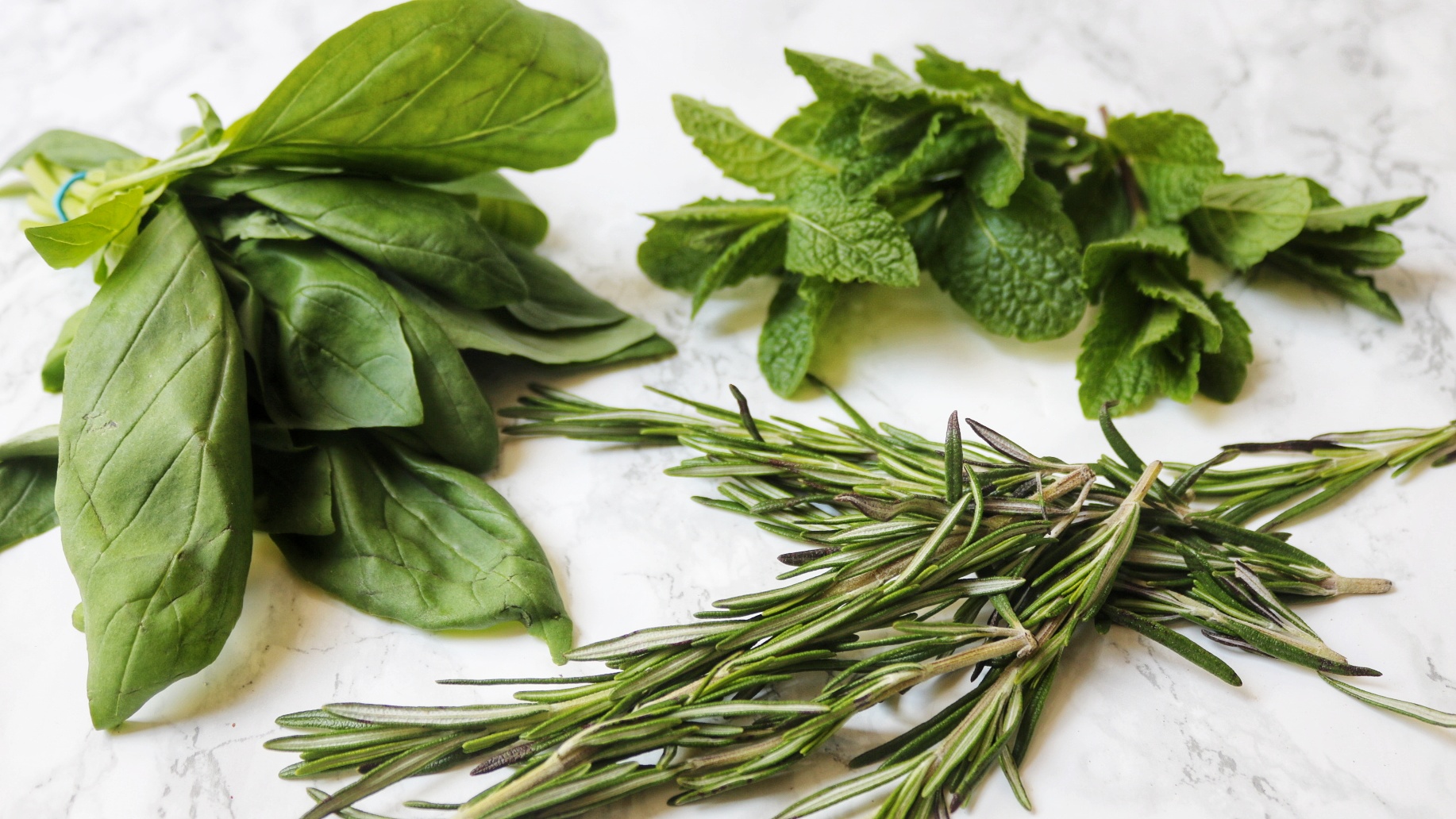 Herbs for flavouring kombucha
