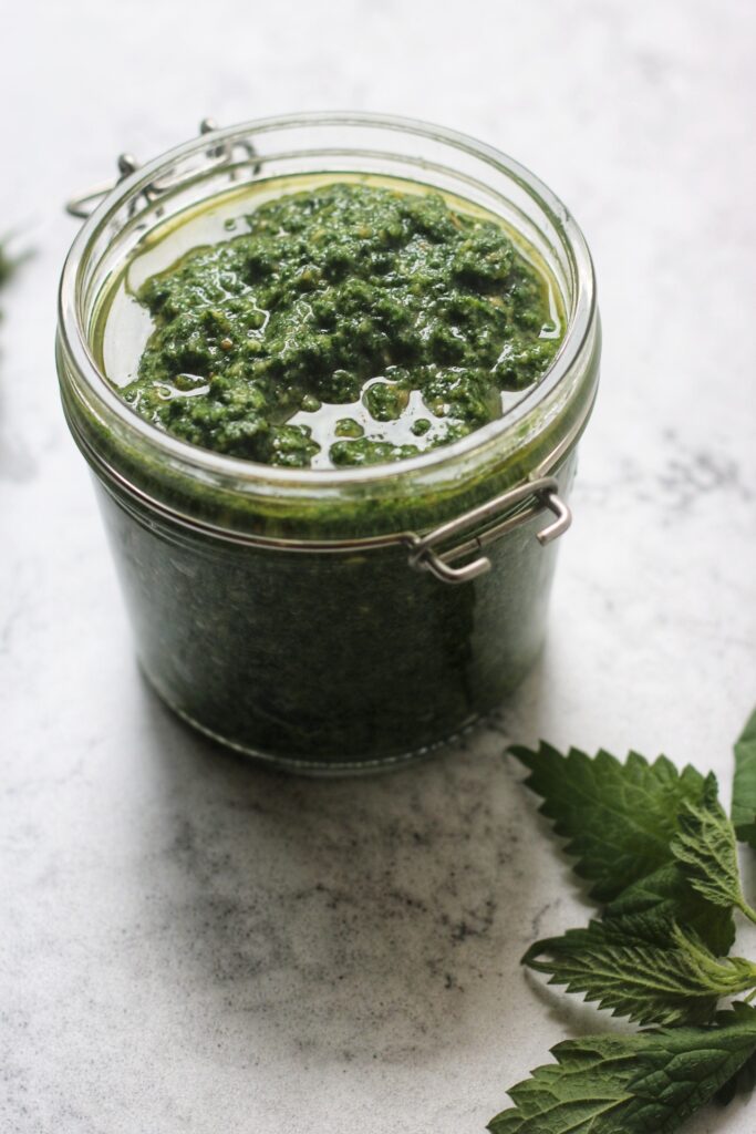 Wild Nettle Pesto made from stinging nettles foraged in Spring