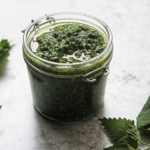 Dairy Free Wild Nettle Pesto made from stinging nettles picked in Spring