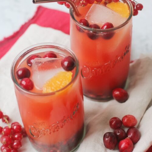 Non-Alcoholic Christmas Punch