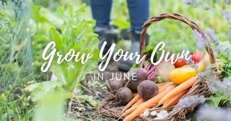 Grow Your Own in June