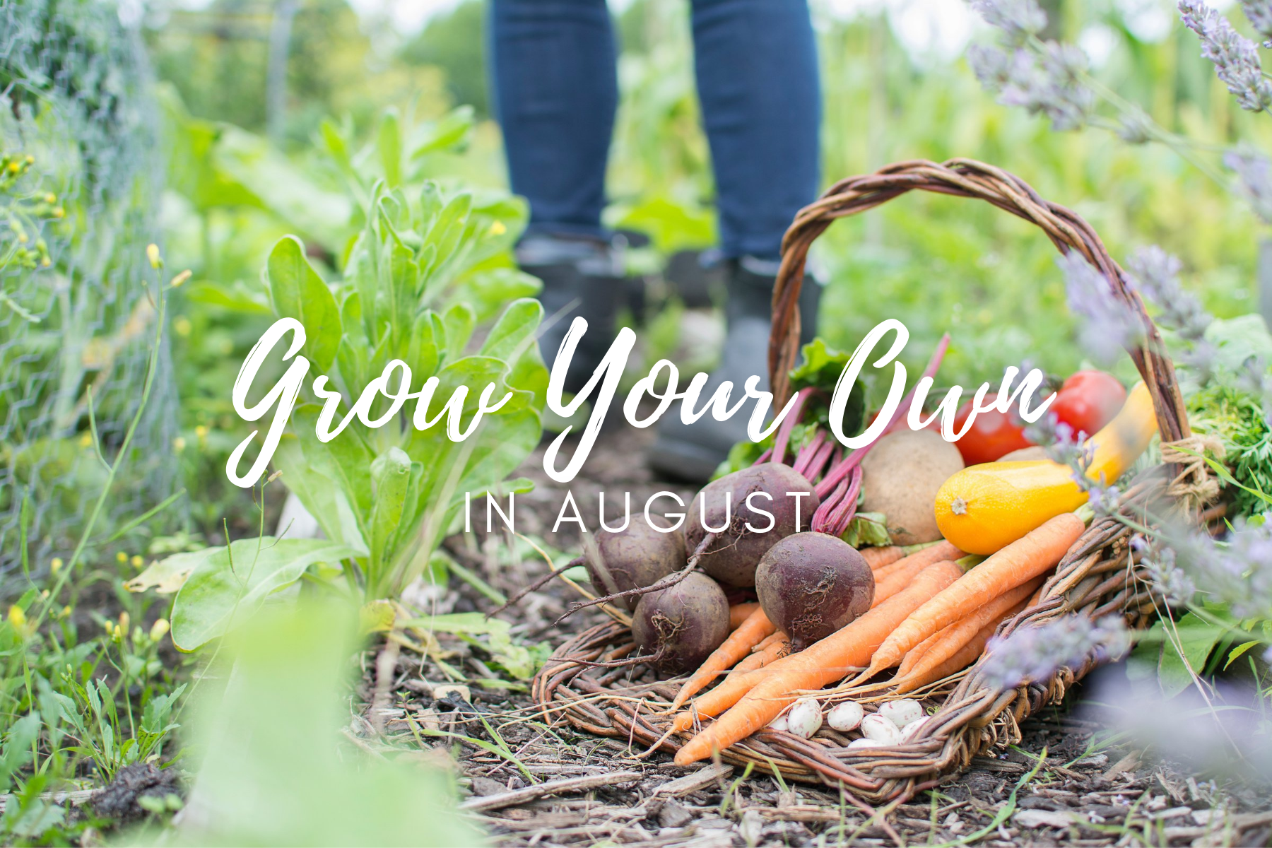 Grow Your Own in August