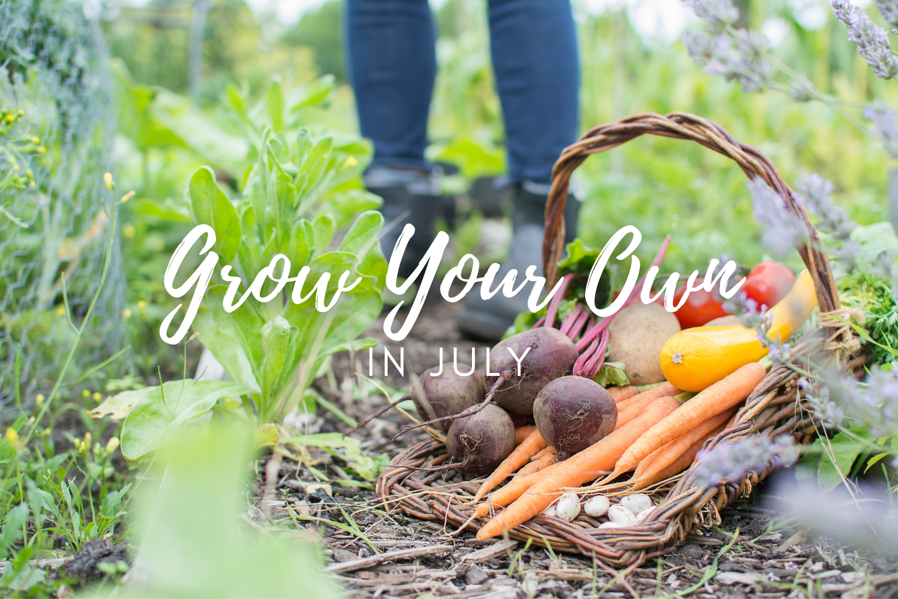 Grow Your Own In July