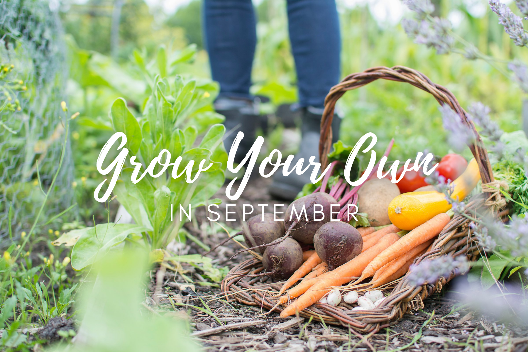 Grow Your Own in September
