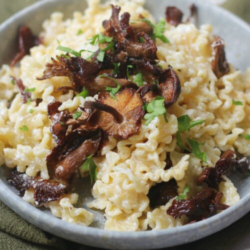 Vegan Roasted Mushroom and Cream Cheese Pasta