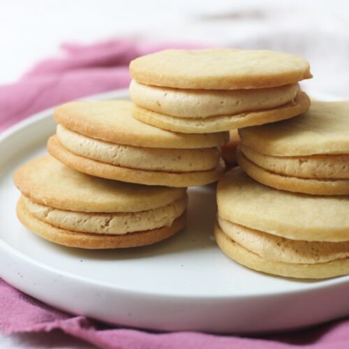 Vegan Peanut Butter and Blackcurrant Sandwich Cookies