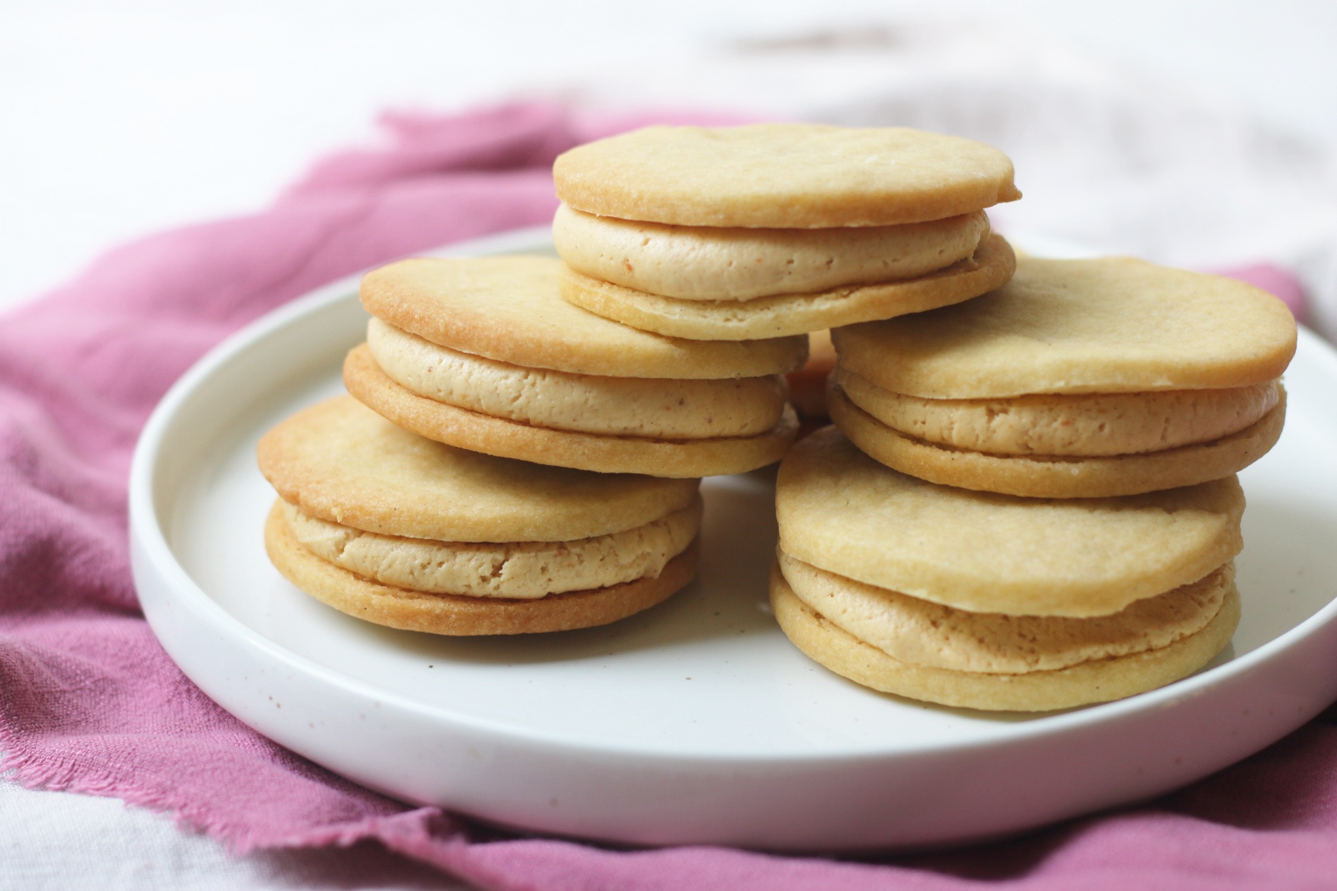 Vegan Peanut Butter and Blackcurrant Sandwich Cookies