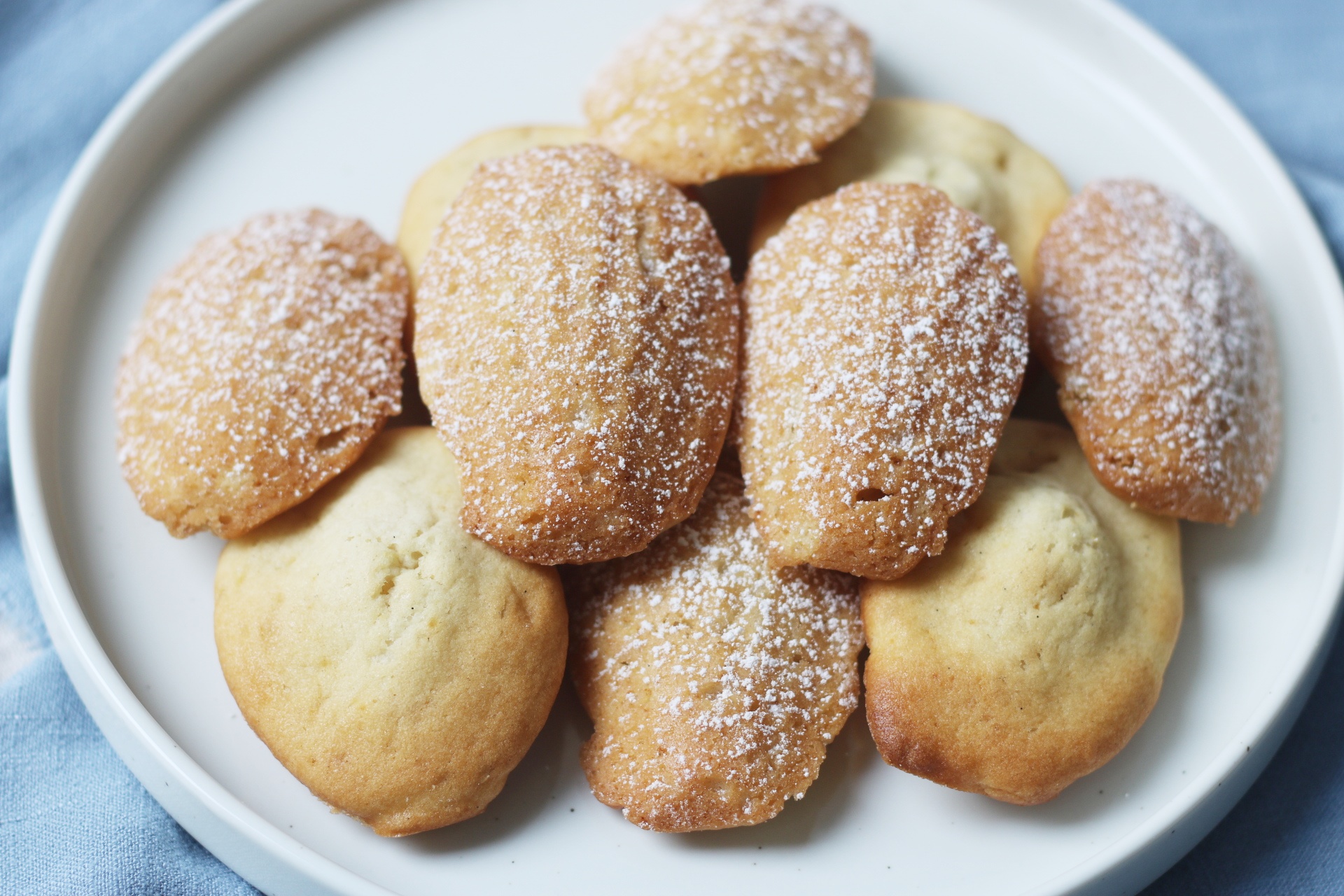 Classic French Vegan Madeleines dusted with icing sugar, on a plate