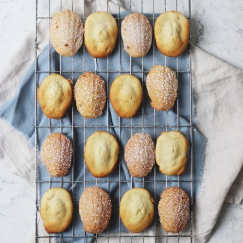 Classic French Vegan Madeleines dusted with icing sugar, on a wire rack