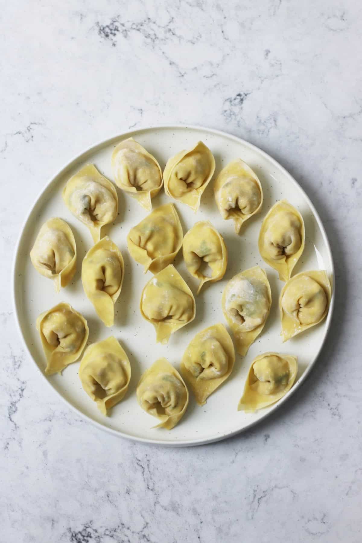 A plate of Vegan Wontons before cooking