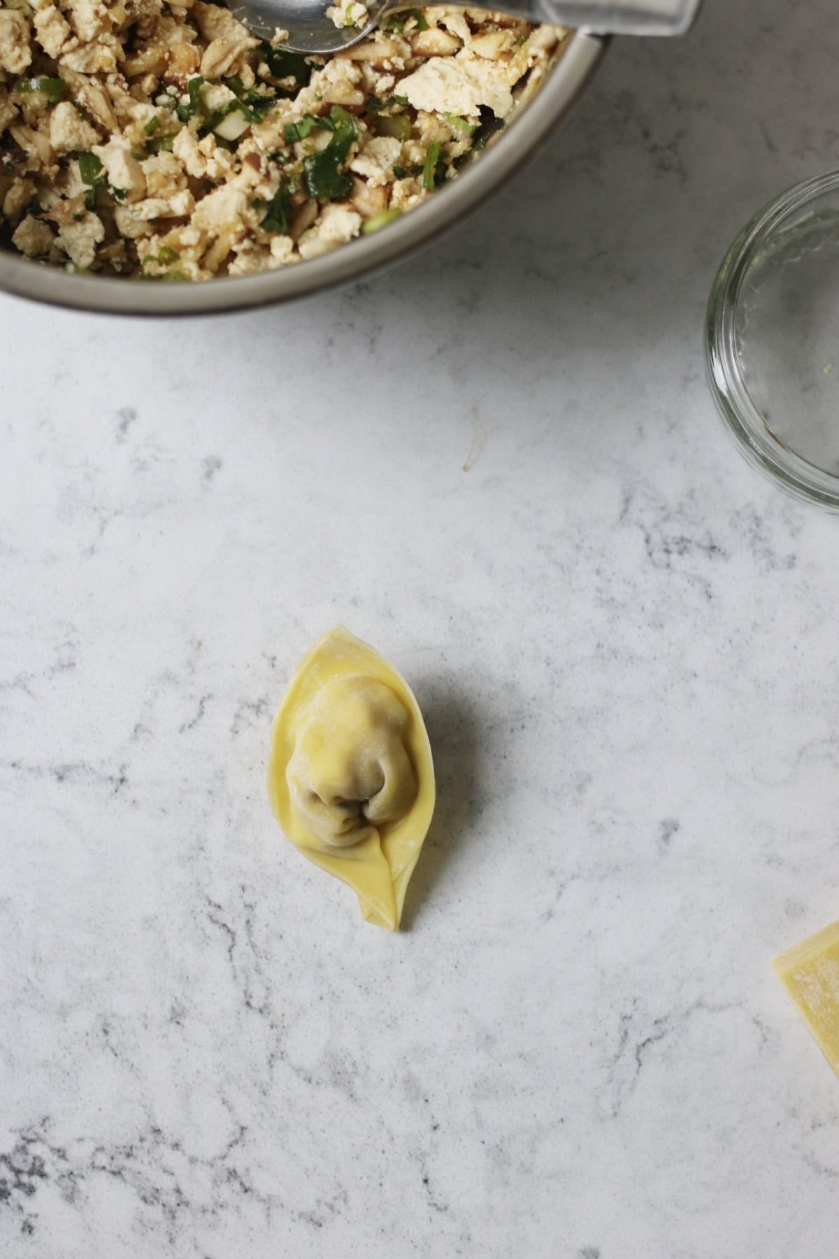 A single Vegan Wonton before cooking