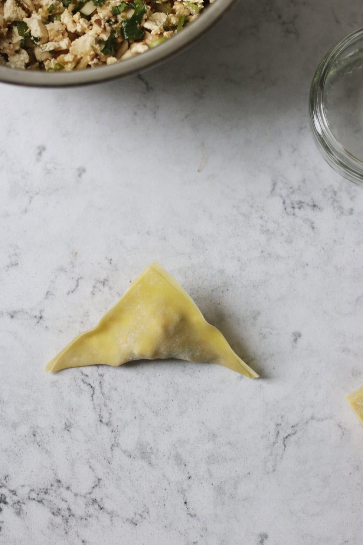 Vegan Wonton folded in half