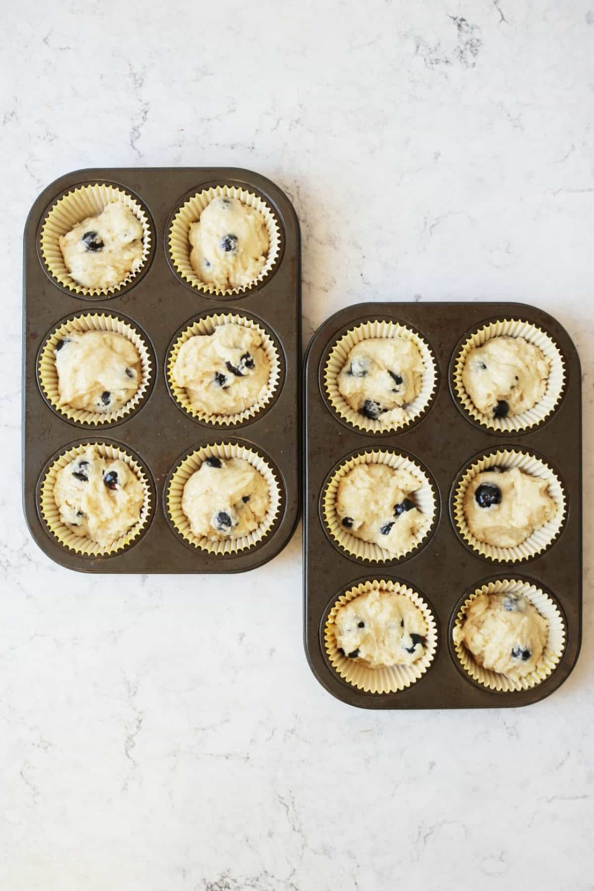 Blueberry muffin batter in paper cases in muffin tins