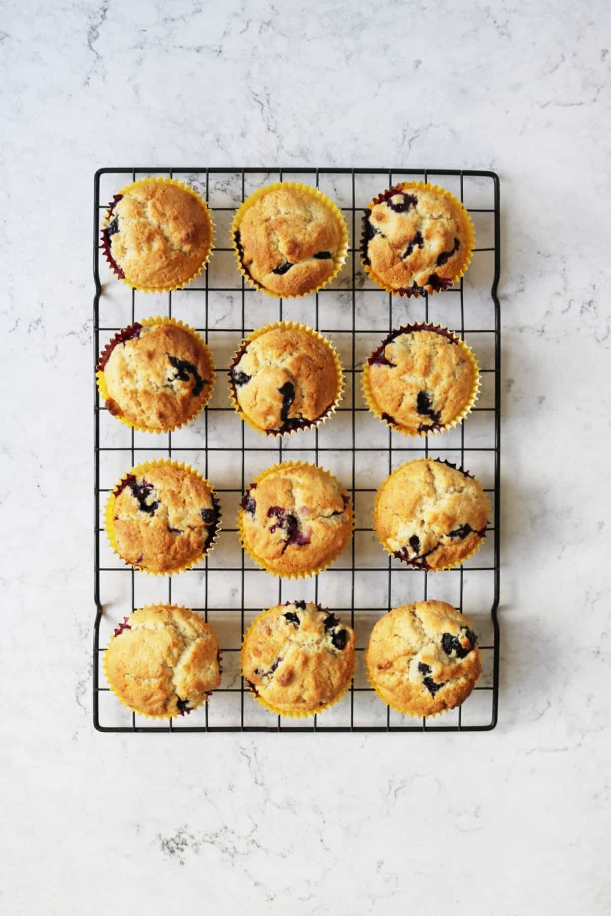 12 Vegan Blueberry Muffins on a wire rack