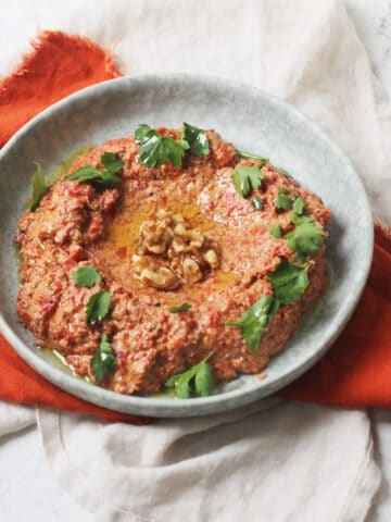 Muhammara, a roasted red pepper and walnut dip served with walnut halves and parsley on a pale blue plate with an orange napkin