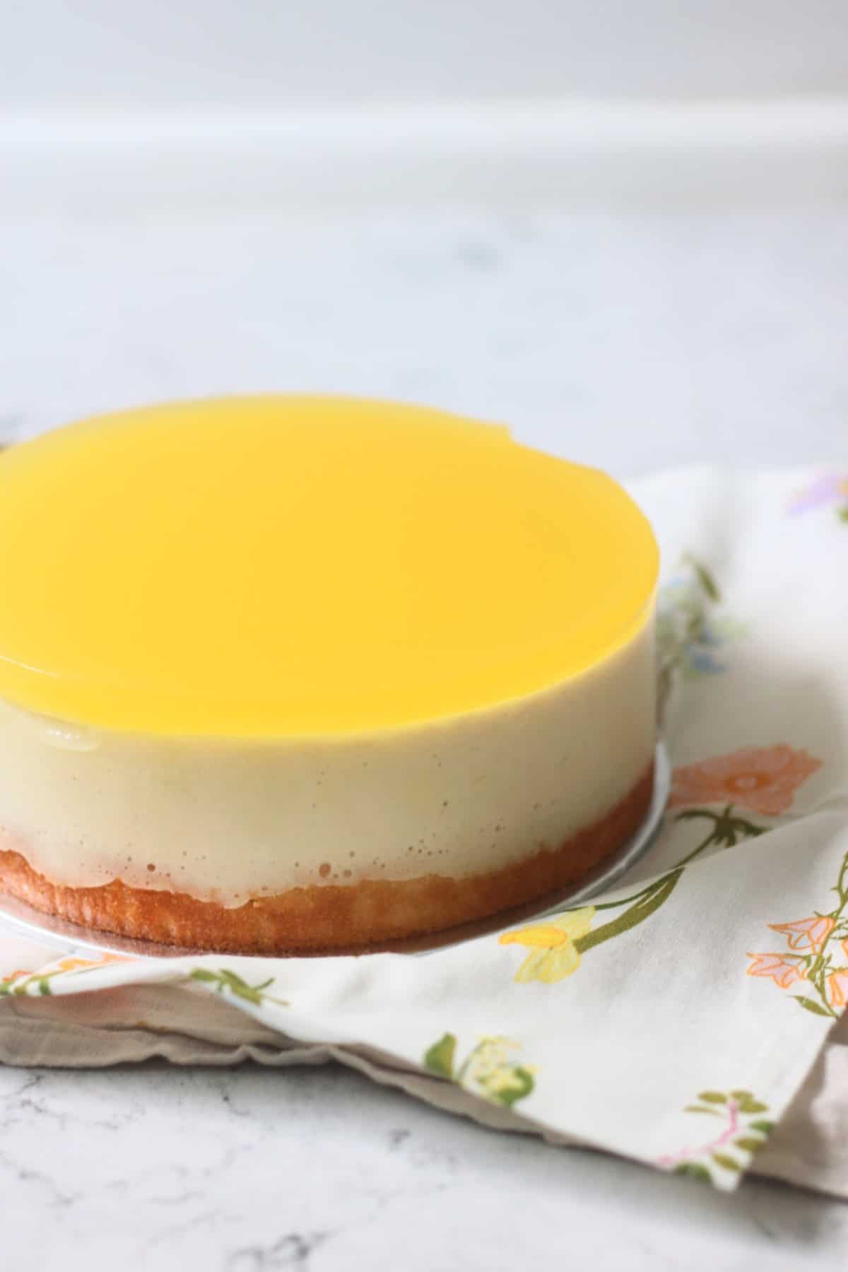 An 8 inch Vegan White Chocolate and Lemon Mousse Cake made up of a layer of vanilla sponge, white chocolate and lemon mousse and lemon jelly.