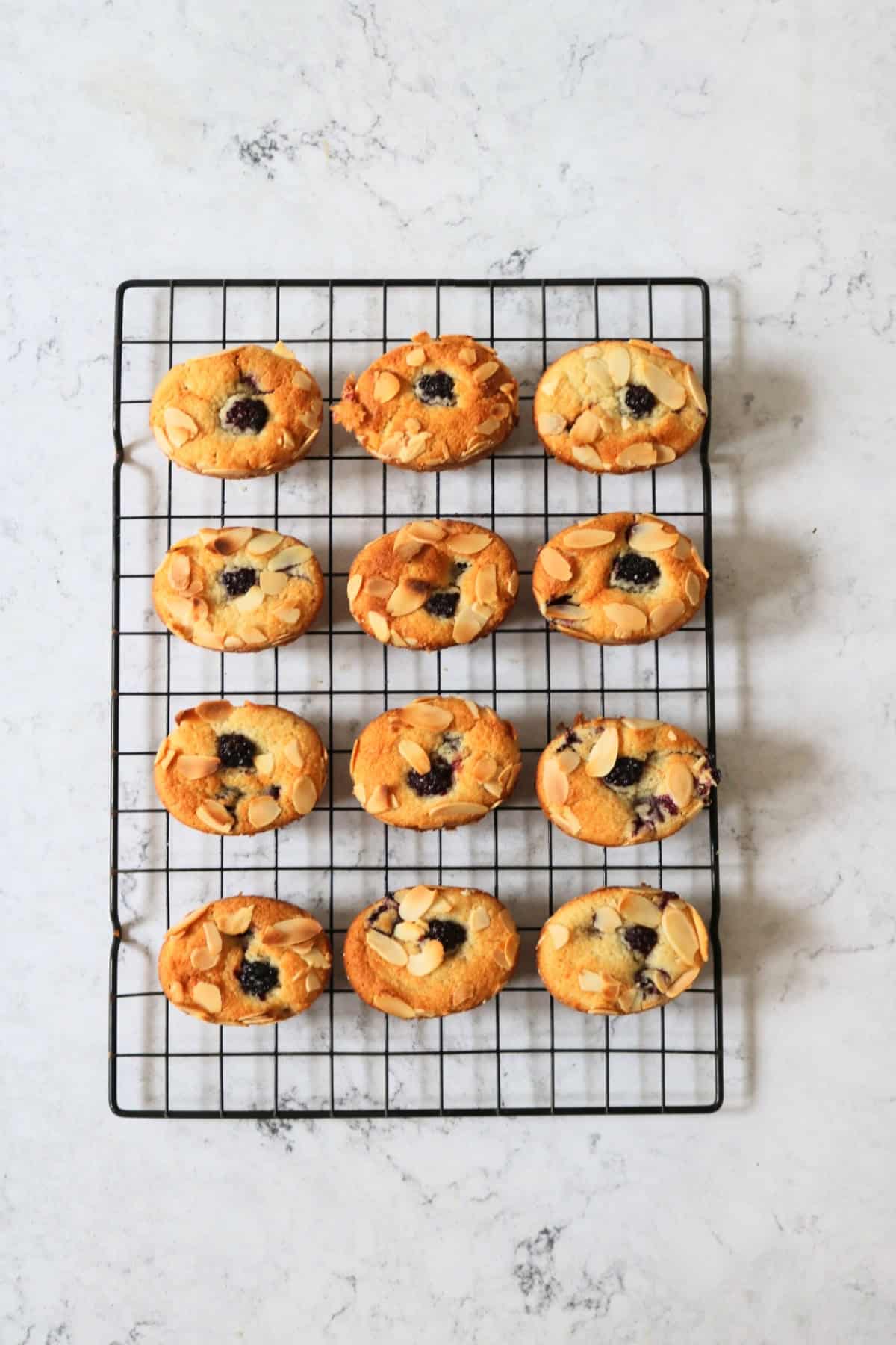 12 Vegan Blackberry and Orange Friands cooling on a wire rack