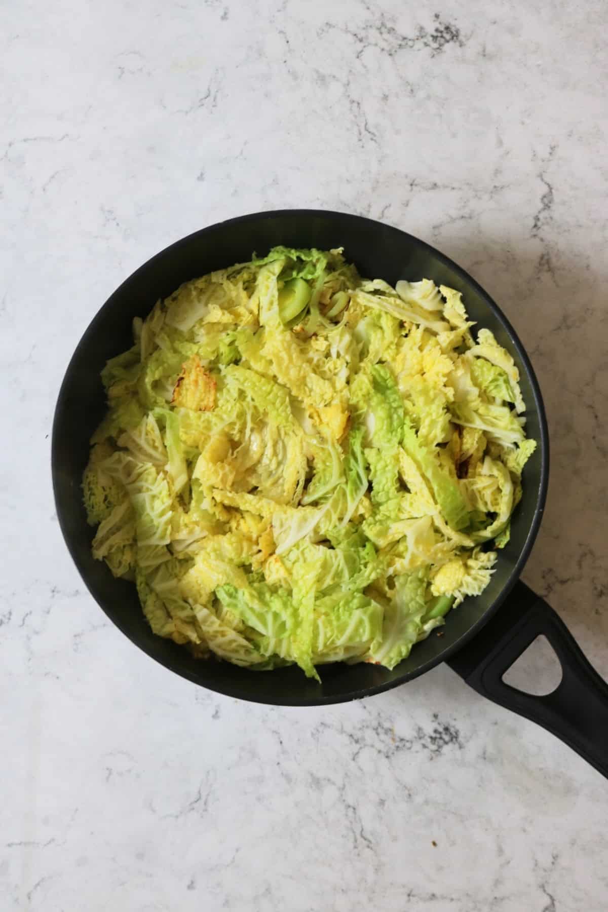 Sliced cabbage and leeks cooking in a large flat bottomed frying pan